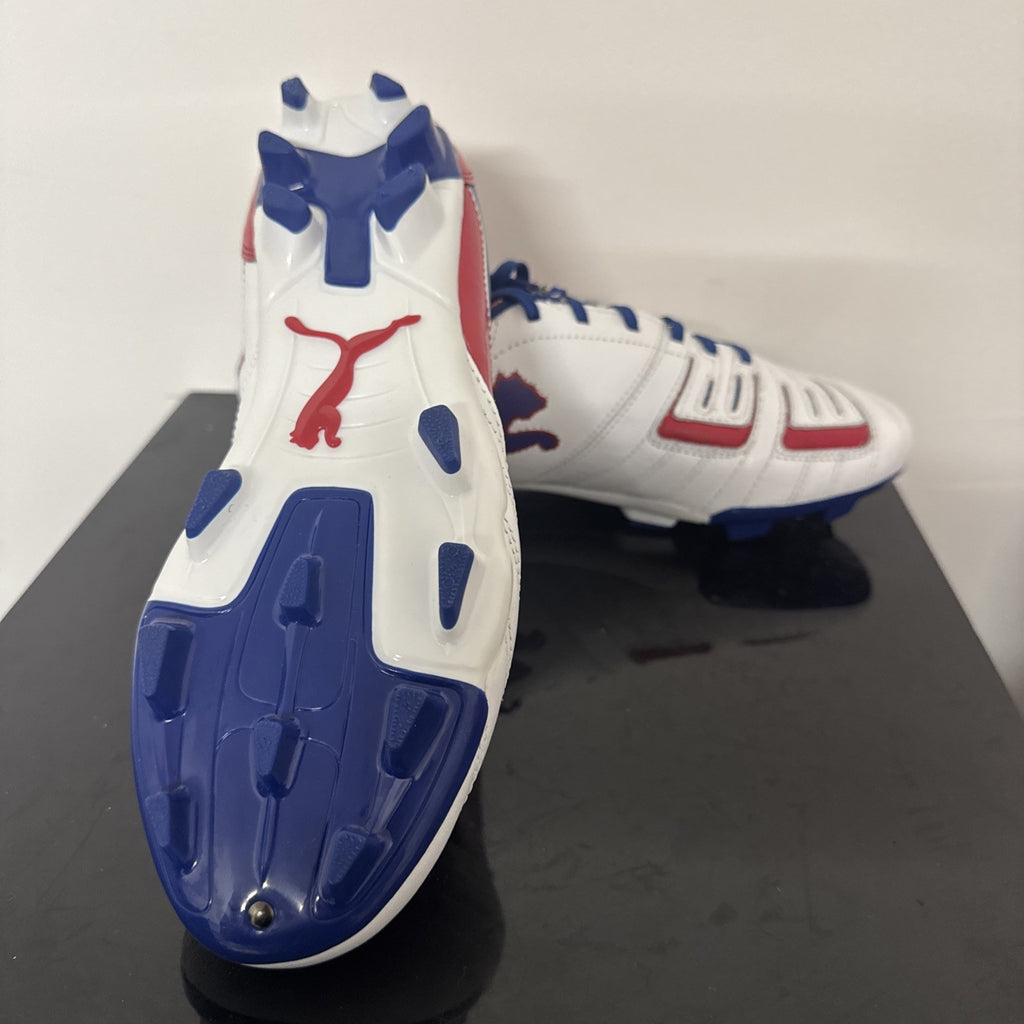 Puma Powercat 3.12 FG Fußballschuh Gr. 45 Fußball Outdoor